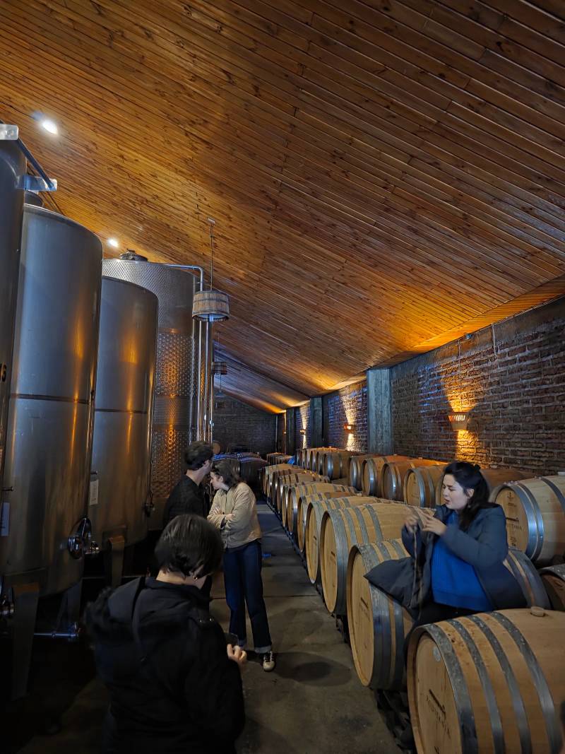 Visitors tasting wine beside steel fermentation tanks in a wood-beamed cellar