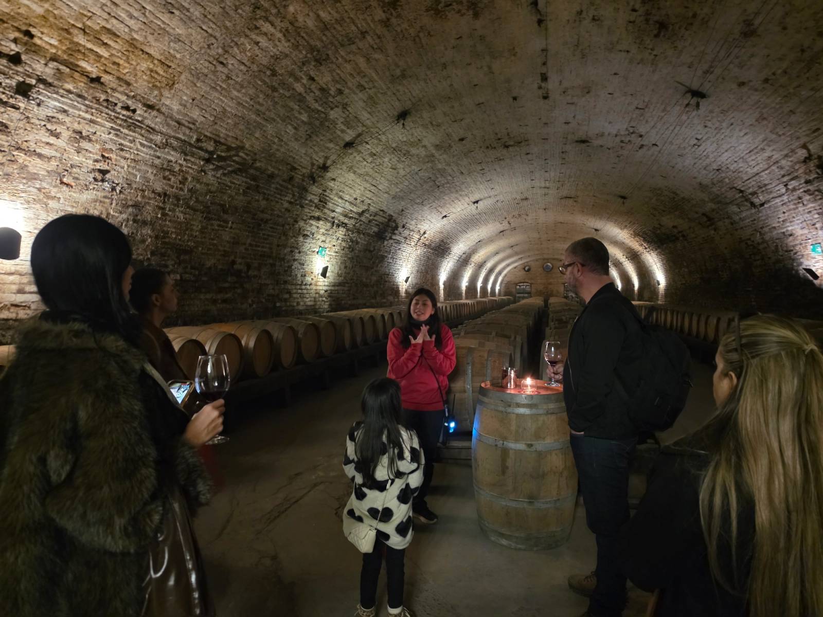 Cousiño Macul Premium Wine Tour with 7 Wine Tastings