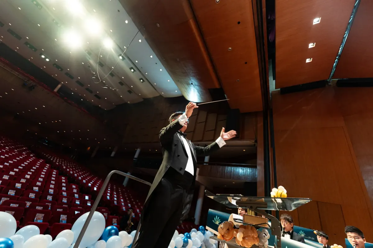 Musicphilic Winds Carousel Image 4