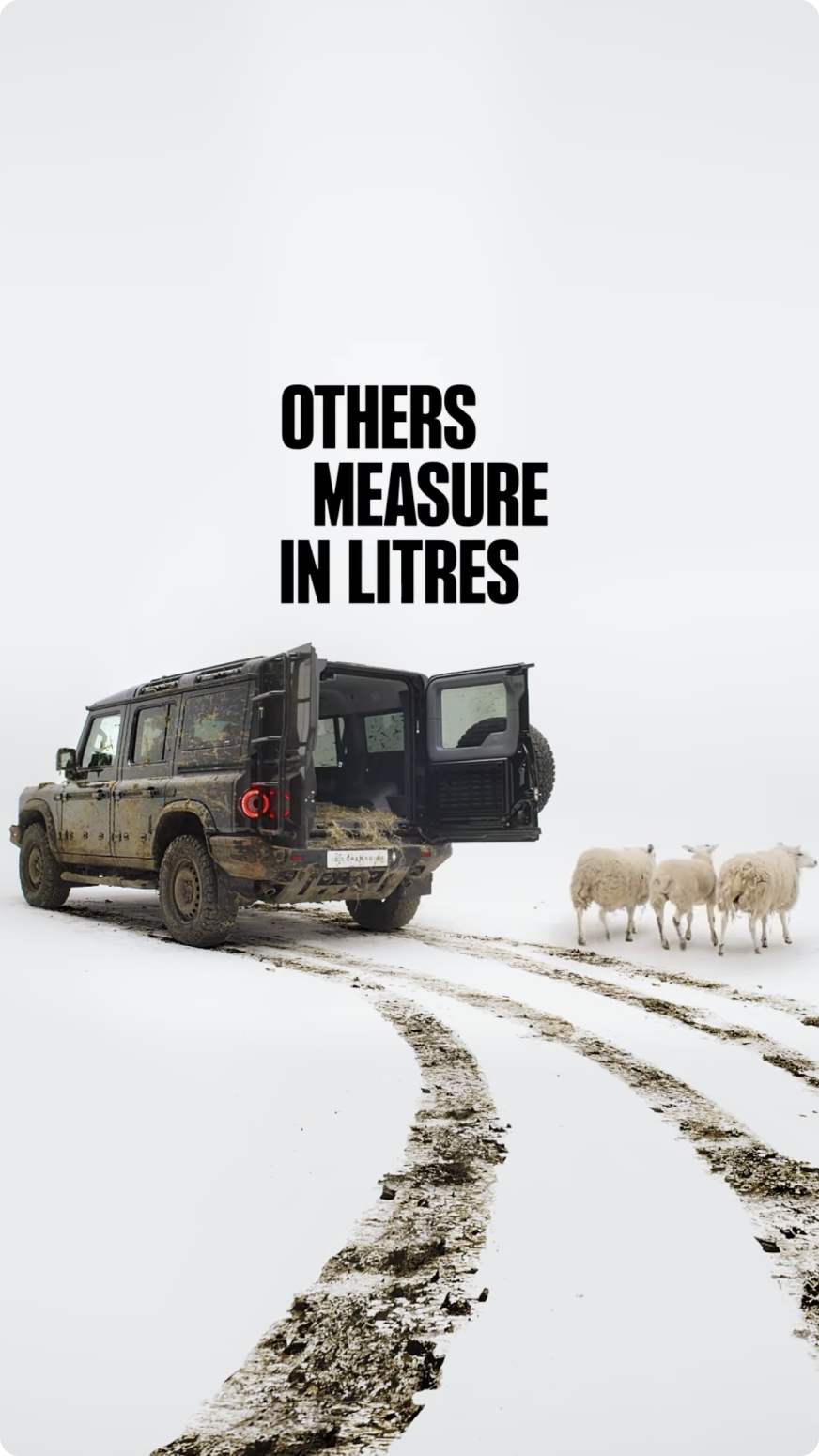 Our non-negotiable: boot space big enough  for 3 sheep.