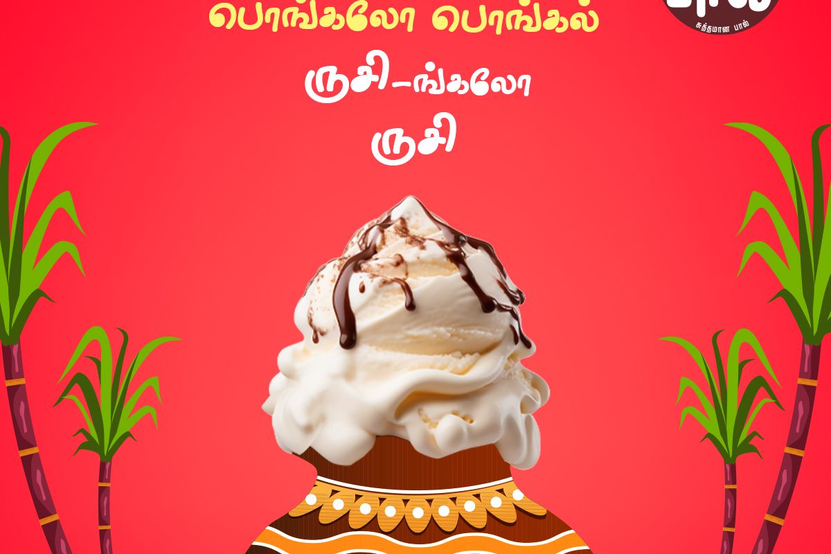 Pongal Festival Campaign