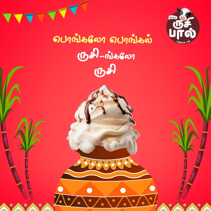 Pongal Festival 2025