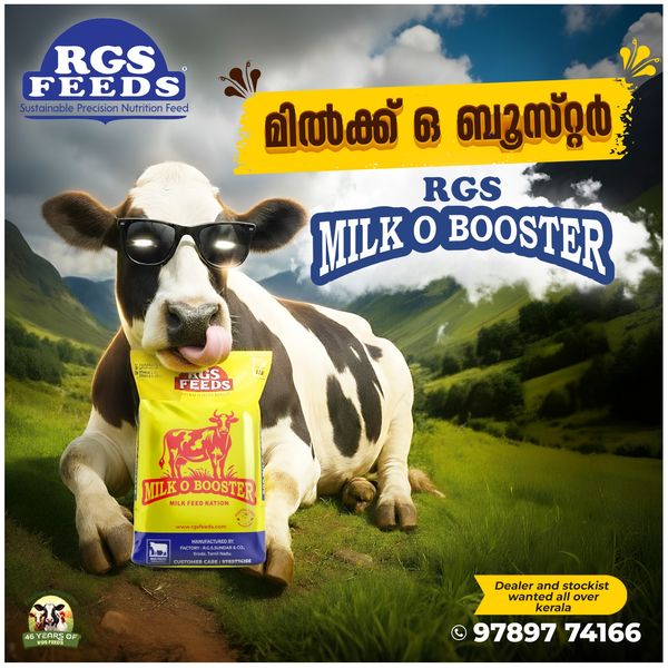 Creative design for Rgs