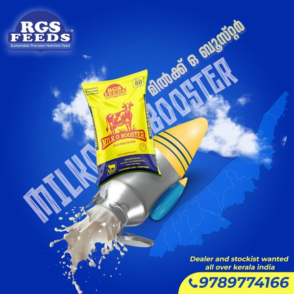 Creative design for Rgs