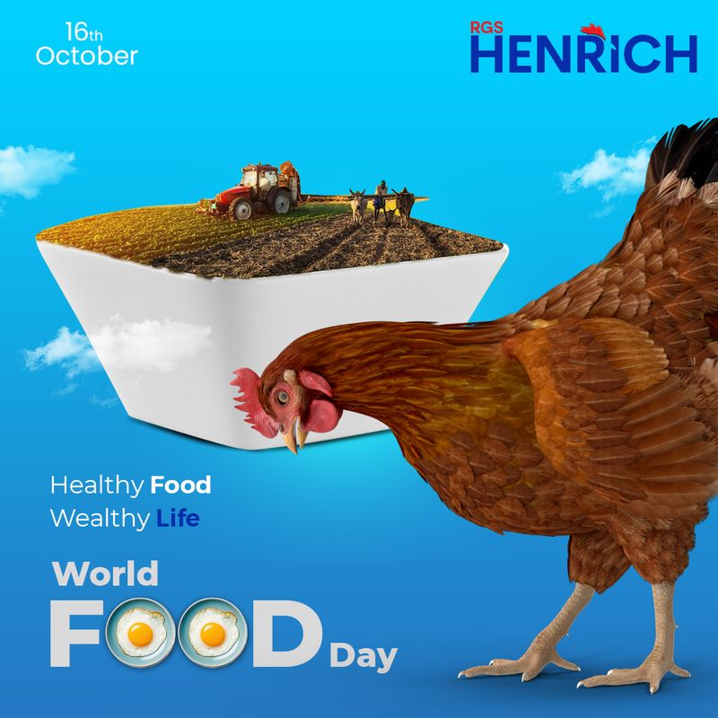 Heinrich Premium Collection