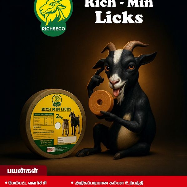 Creative design for Rgs