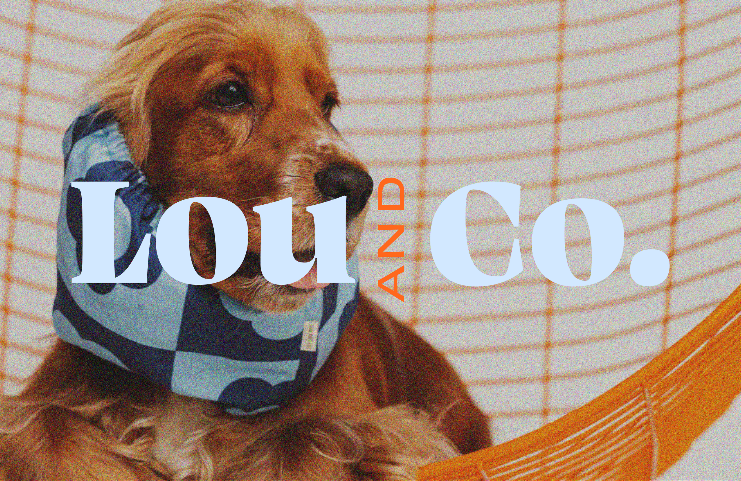 The Lou & Co. wordmark, with "and" set vertically in orange, over a spaniel in a blue patterned snood.