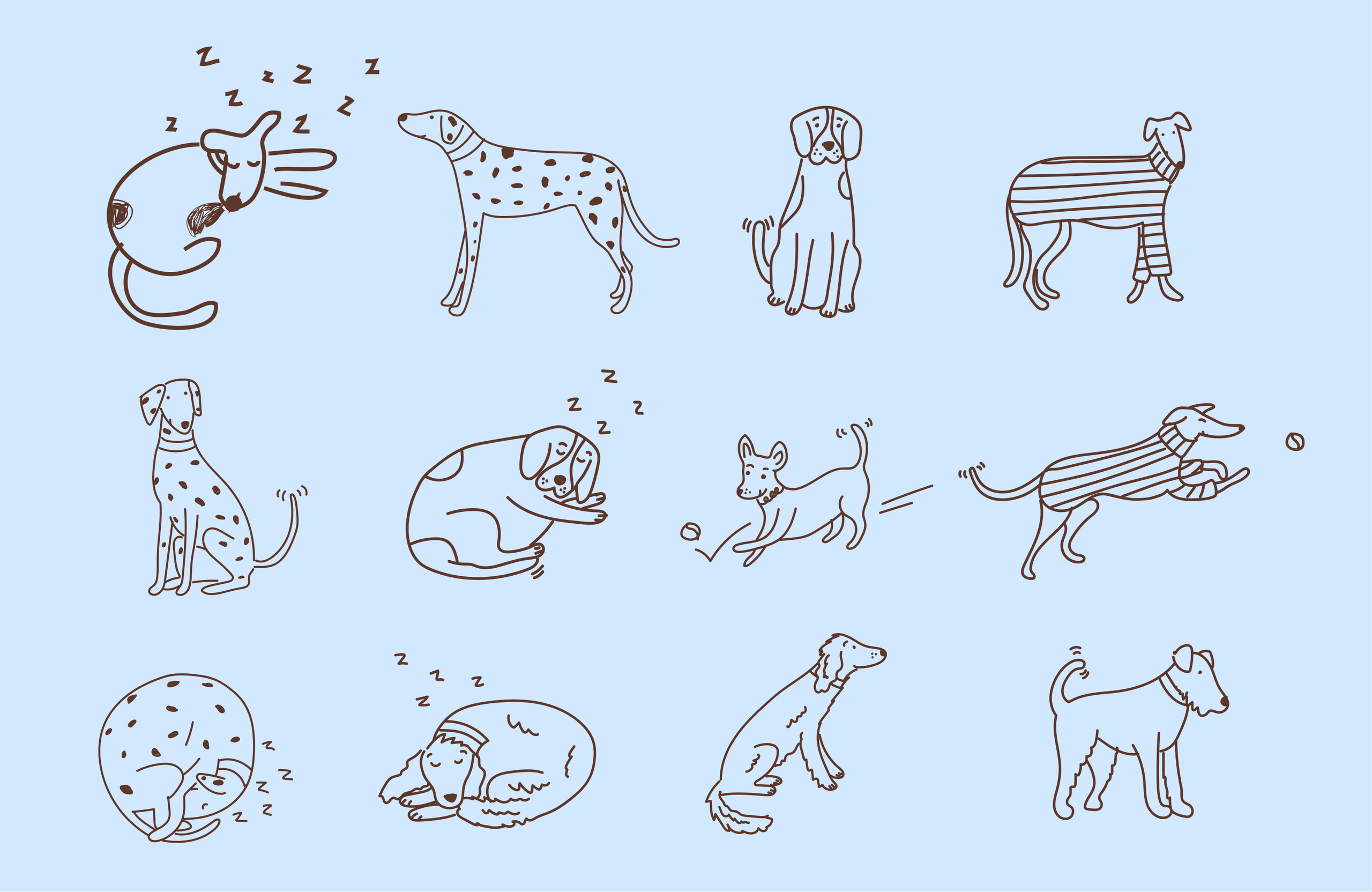 Twelve brown line drawings of dogs on pale blue: sleeping, sitting, in striped jumpers, chasing balls.