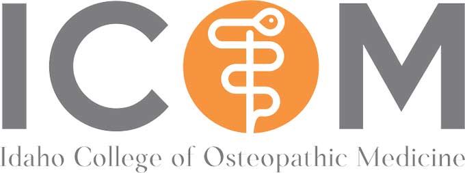 ICOM's Strategic Leap Forward: Leveraging Leo for Educational Efficiency