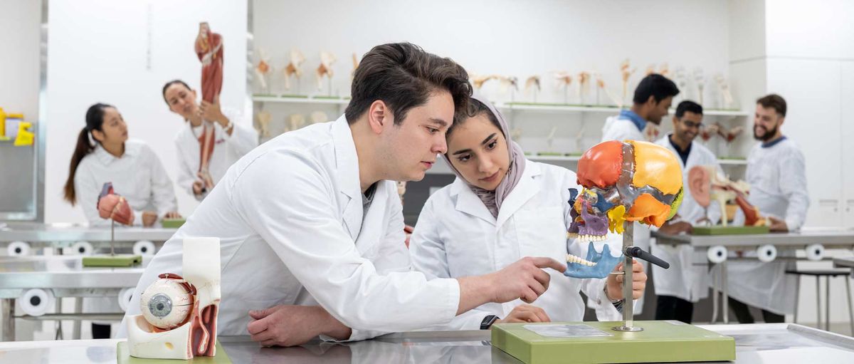 SUNY’s Shift: Streamlining Education with Leo