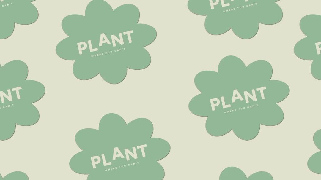 website-studio-pwyc