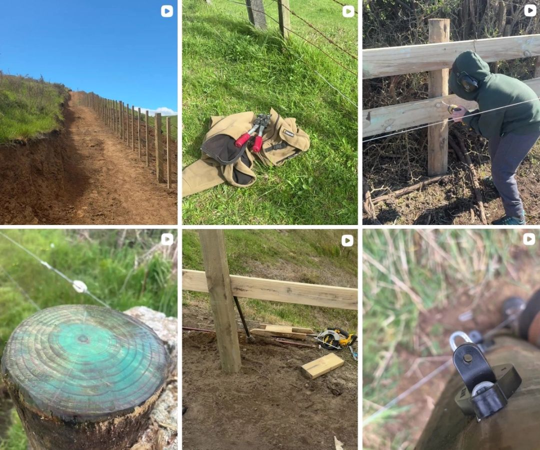 Agri-Fencing Taranaki: Raising the Bar for Rural Brands