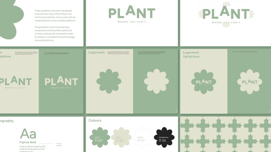 website-studio-pwyc