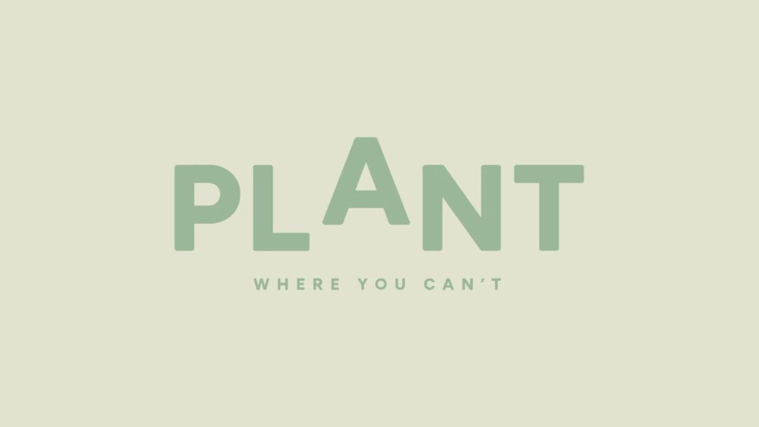 Plant Where You Can't: Grow your own, anywhere