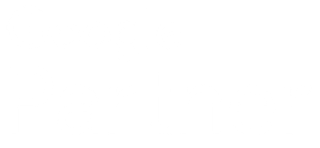 Google Partner