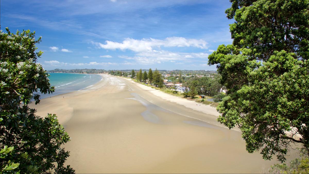 Orewa Garage Door Repair & Installation