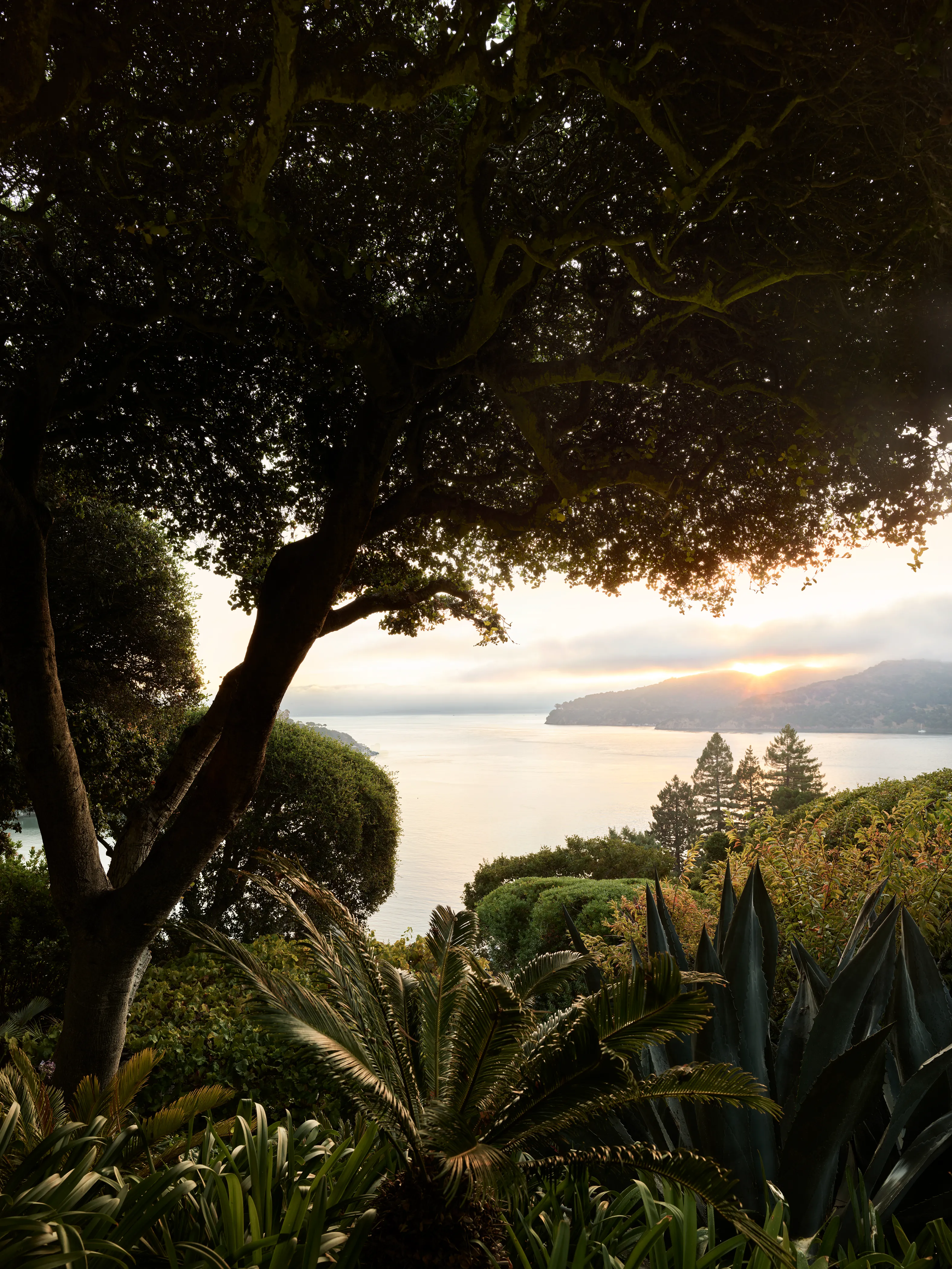 Belvedere Garden 