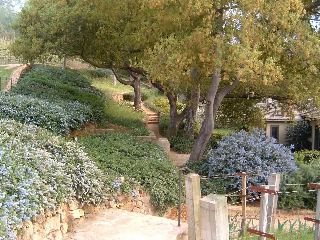 Garden Conservation Bel Air 