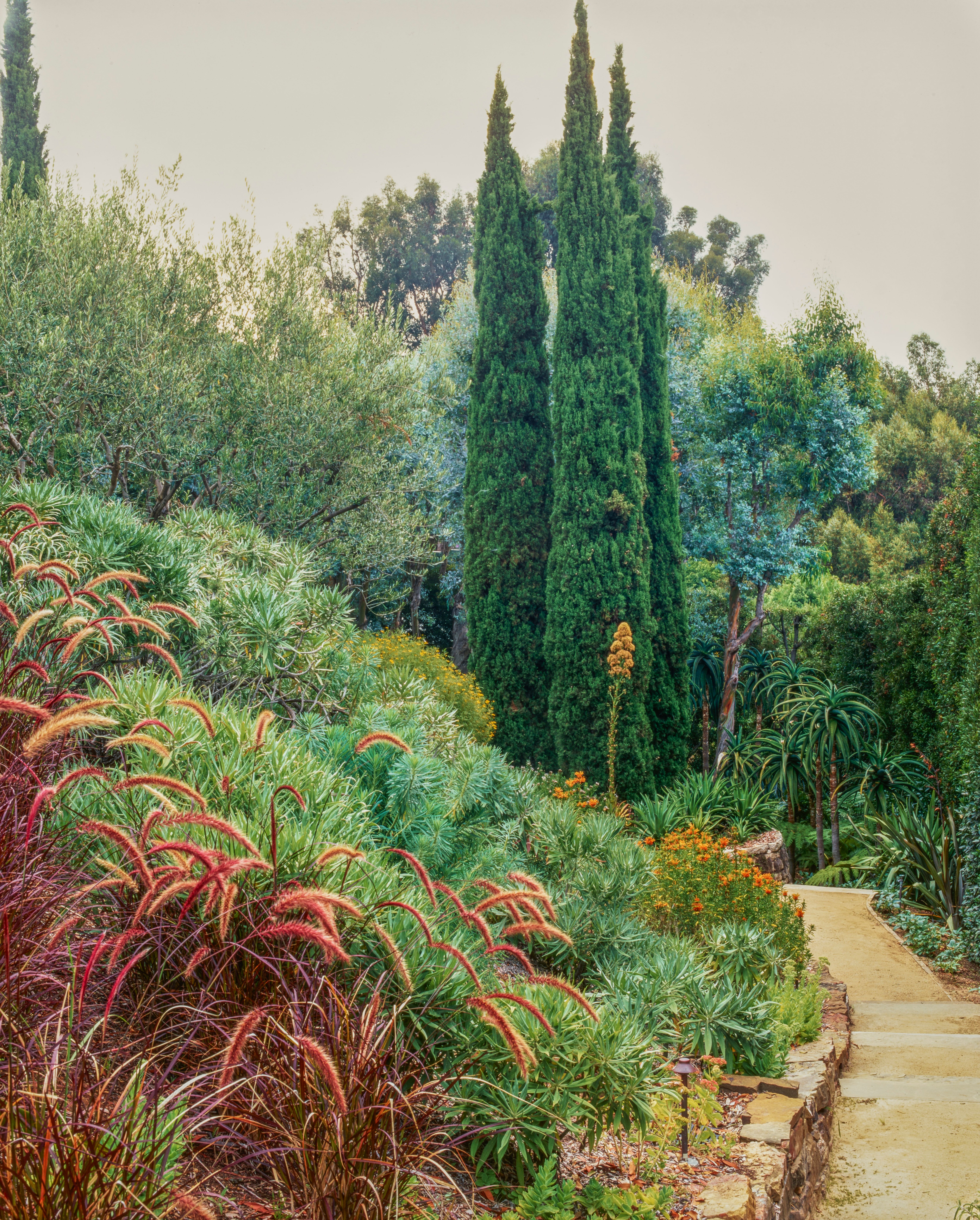 Garden Conservation Brentwood 
