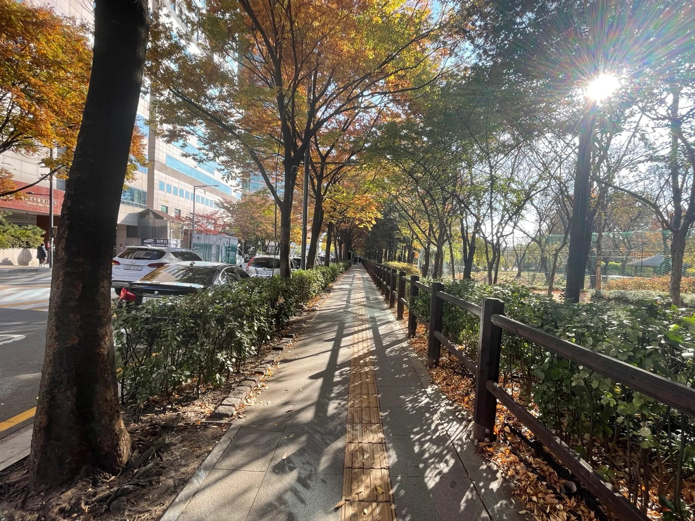 City in a Park — 10