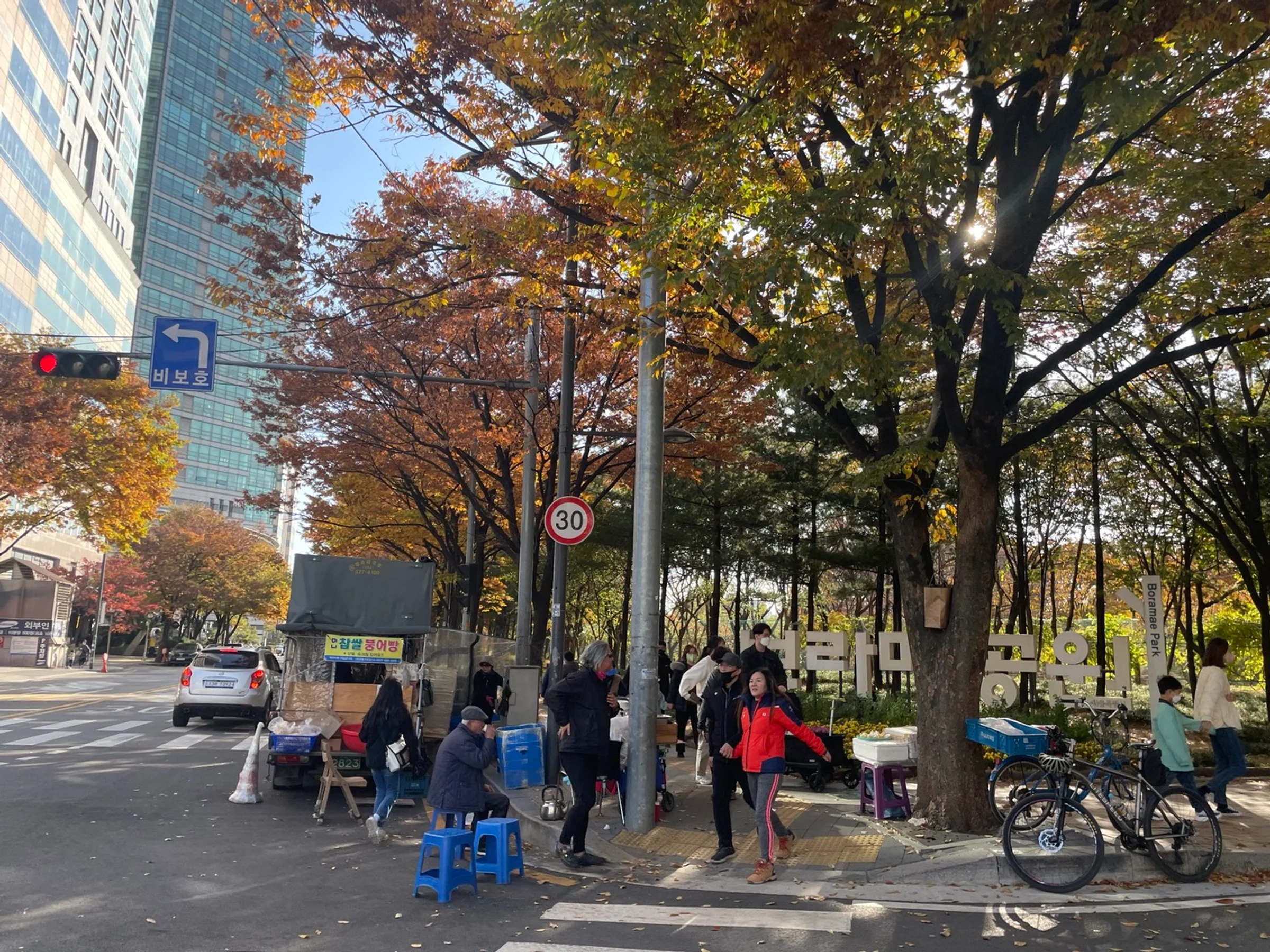 City in a Park — 8