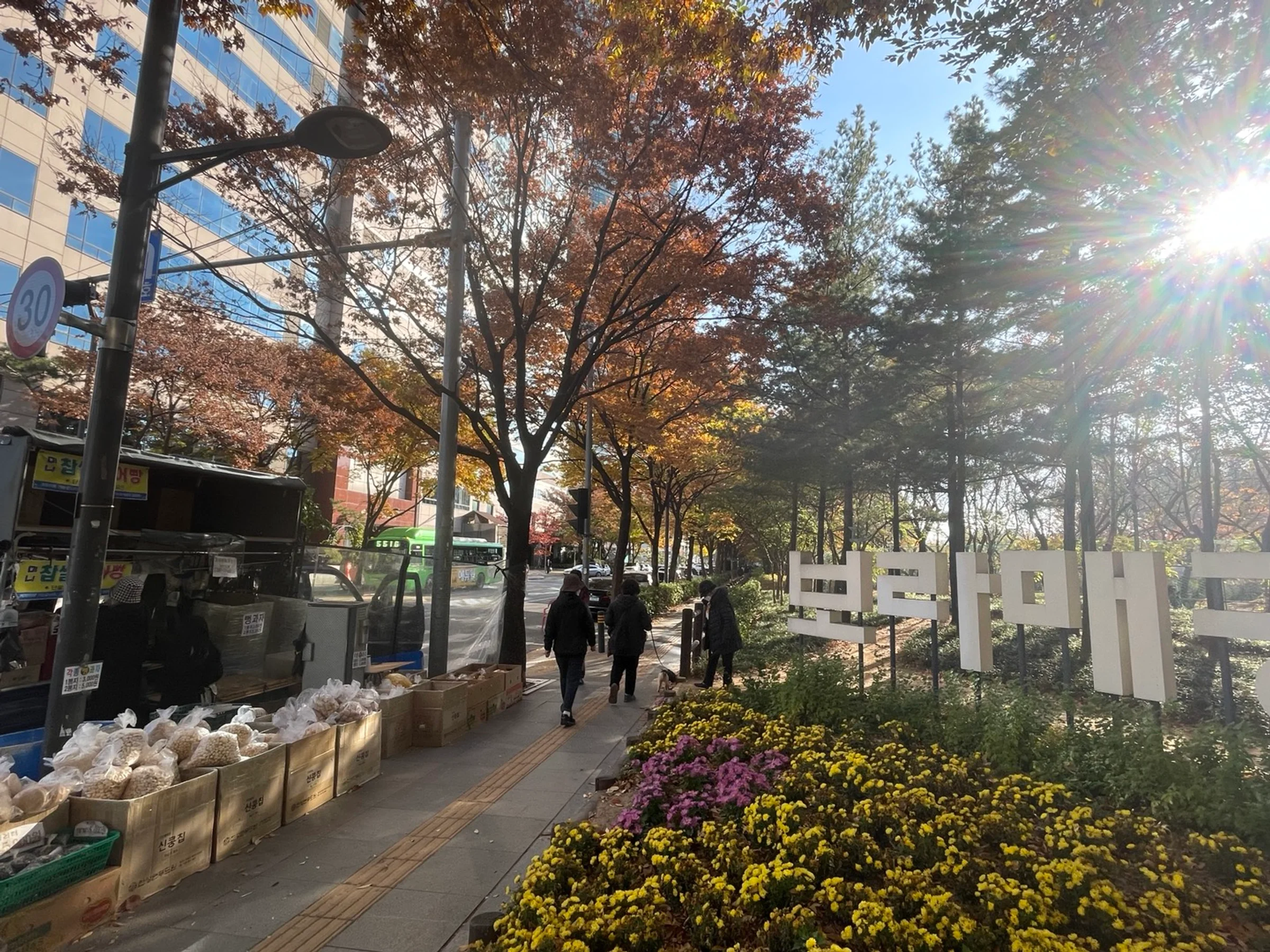 City in a Park — 9