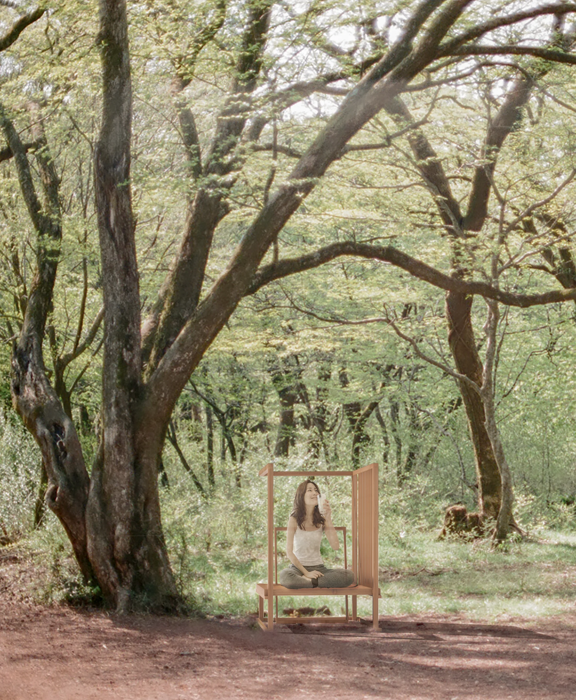 Plant a Chair — 1
