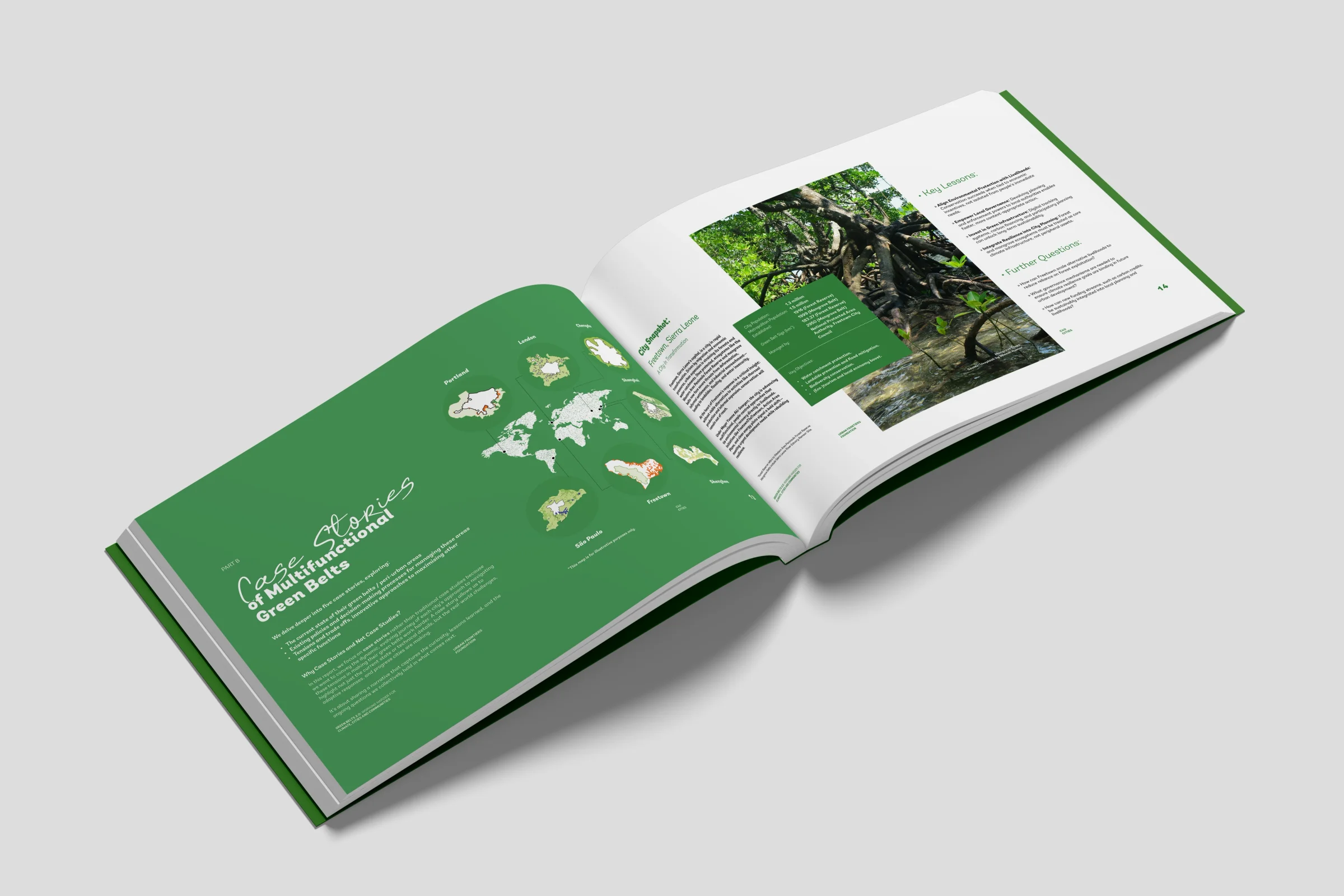 Green Belts 2.0 Report image 3