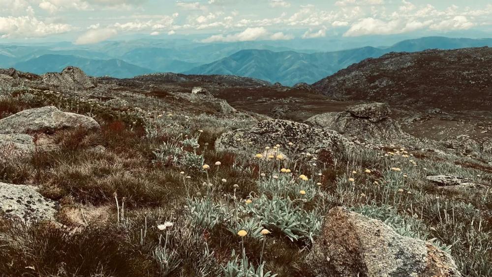 Mt Kosciuszko