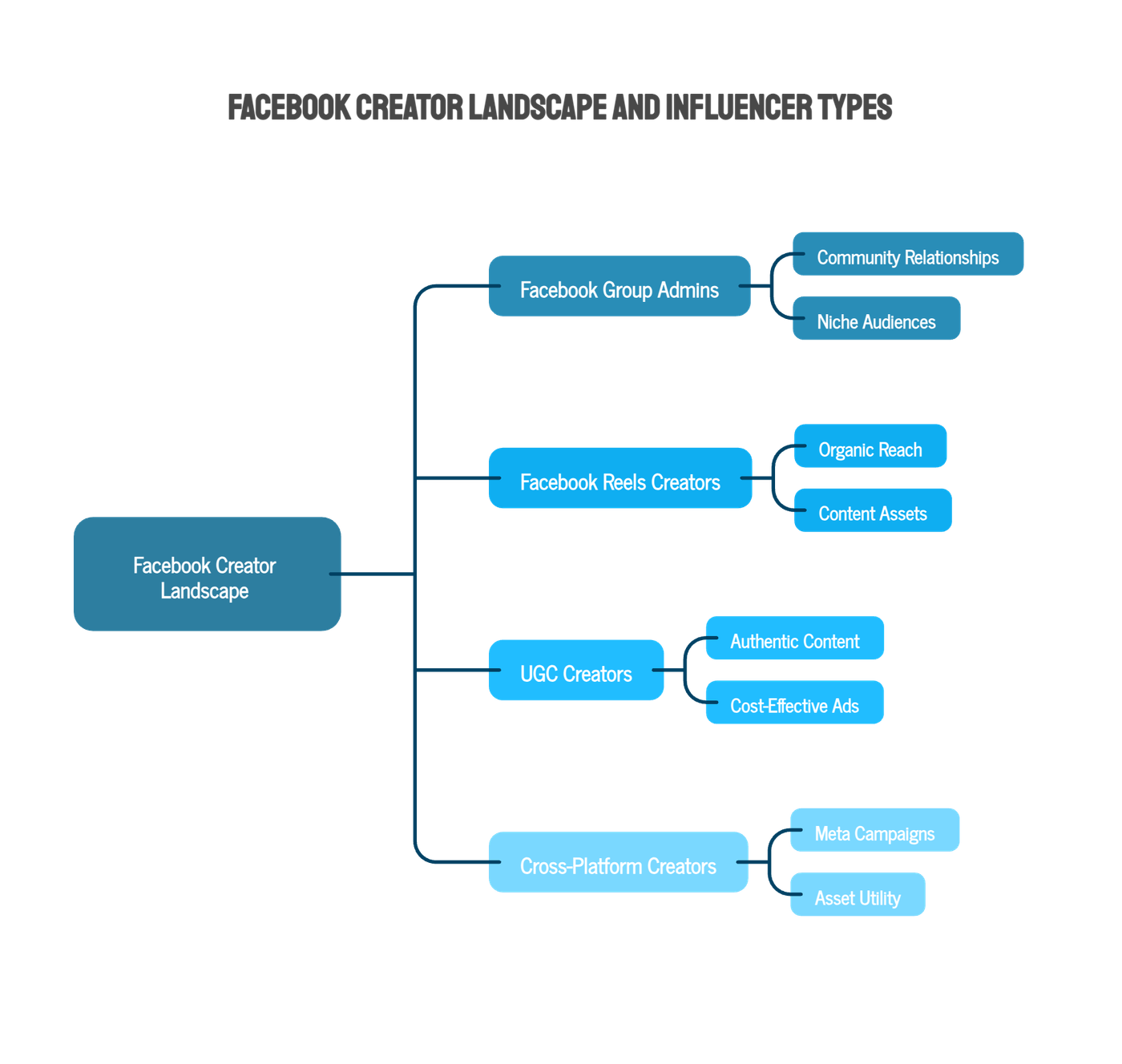 Understanding the Facebook Creator Landscape