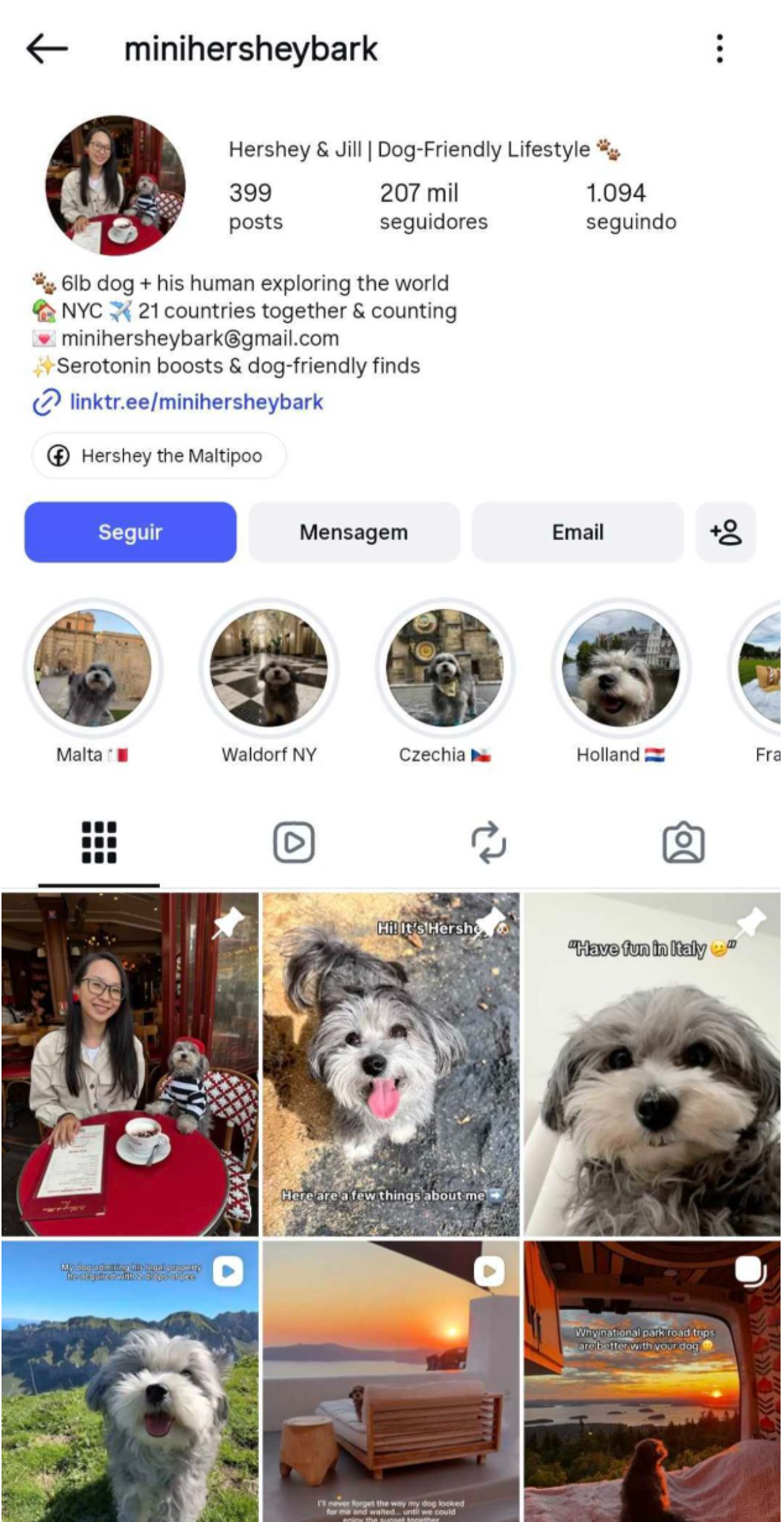 Macro influencers (100,000–1 million followers)