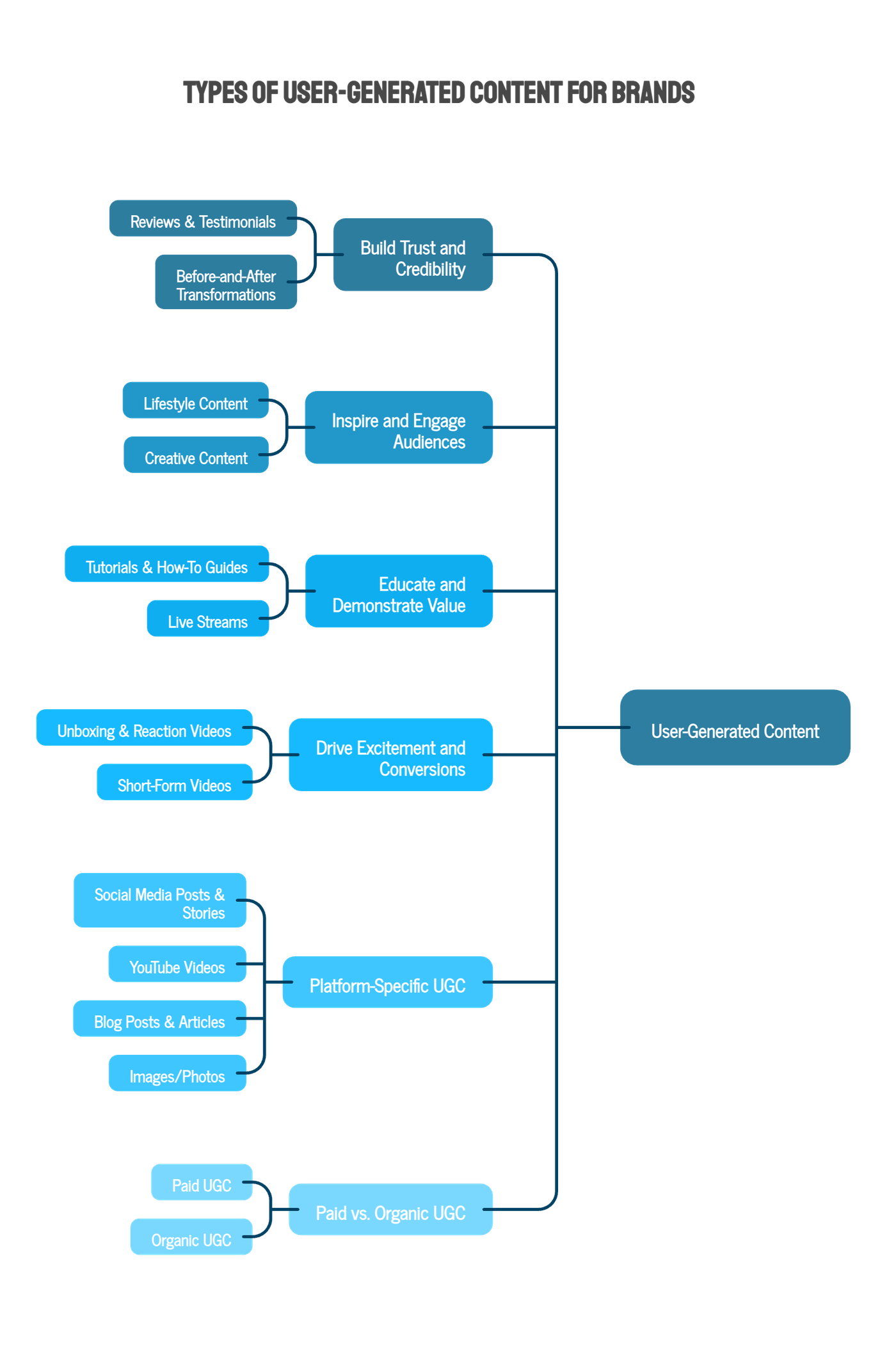 Types of UGC Brands Can Leverage