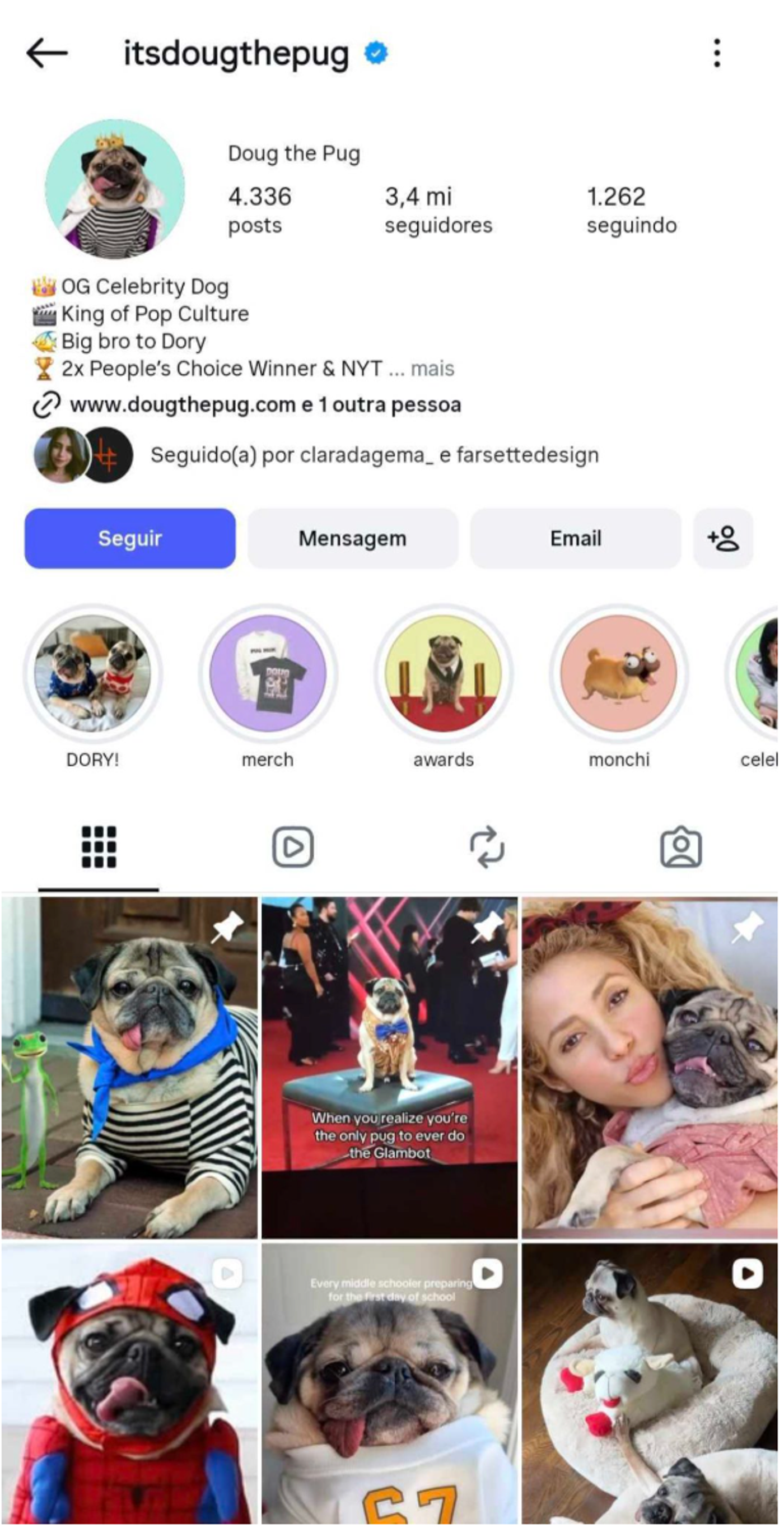 Mega influencers (1 million+ followers):