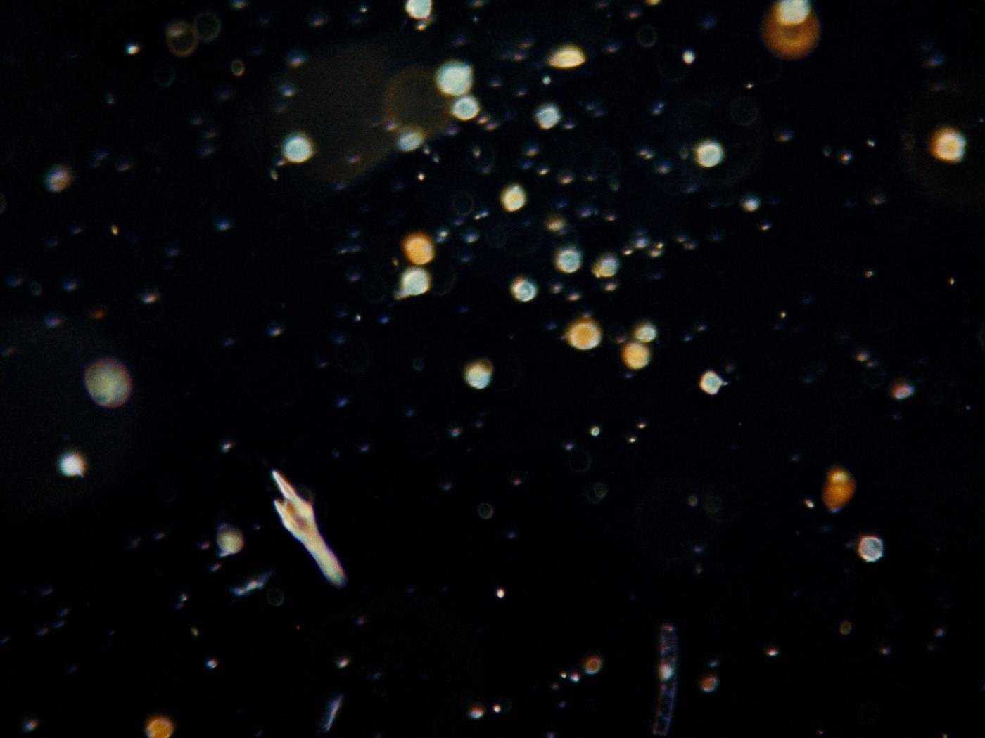 Frame 16