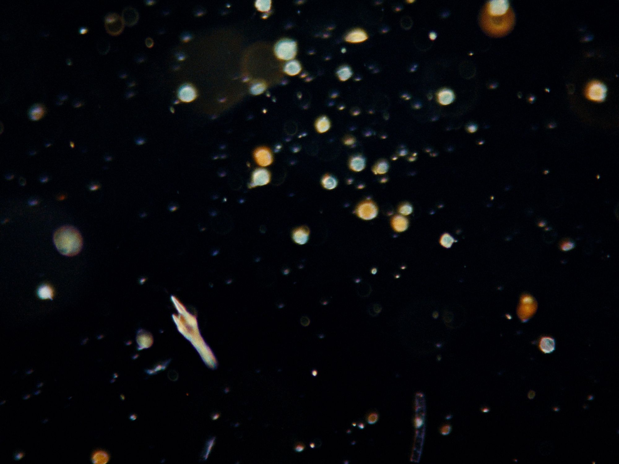 Frame 16