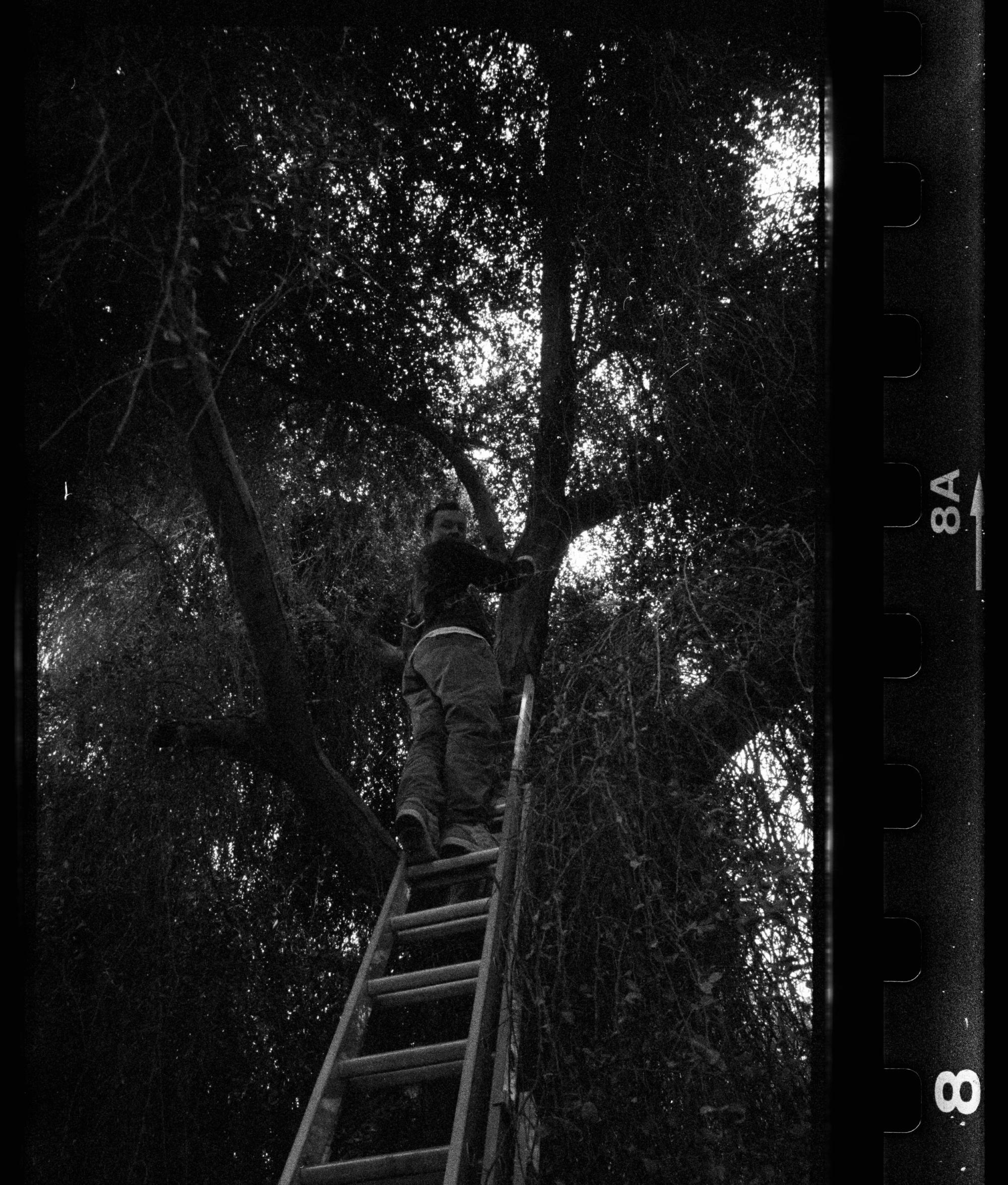 Behind the scenes 25