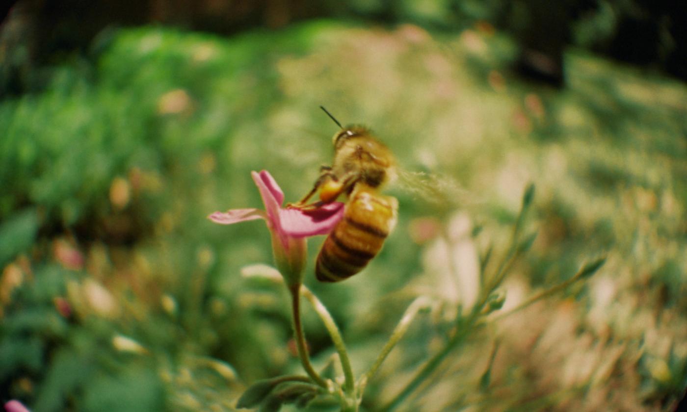 Frame 11