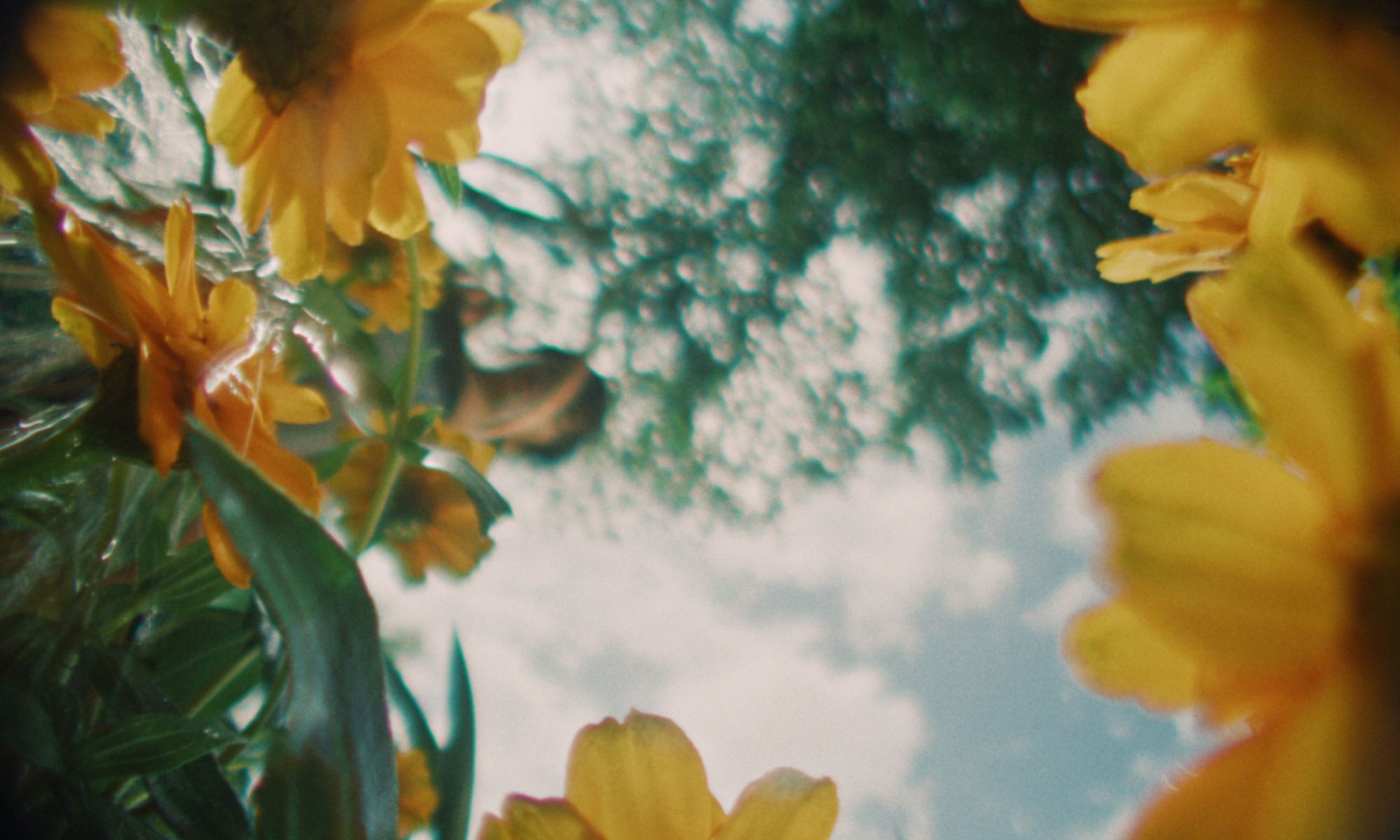 Frame 08