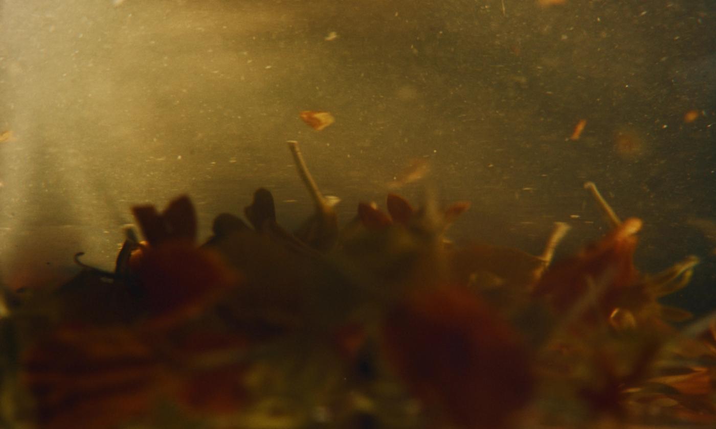 Frame 12