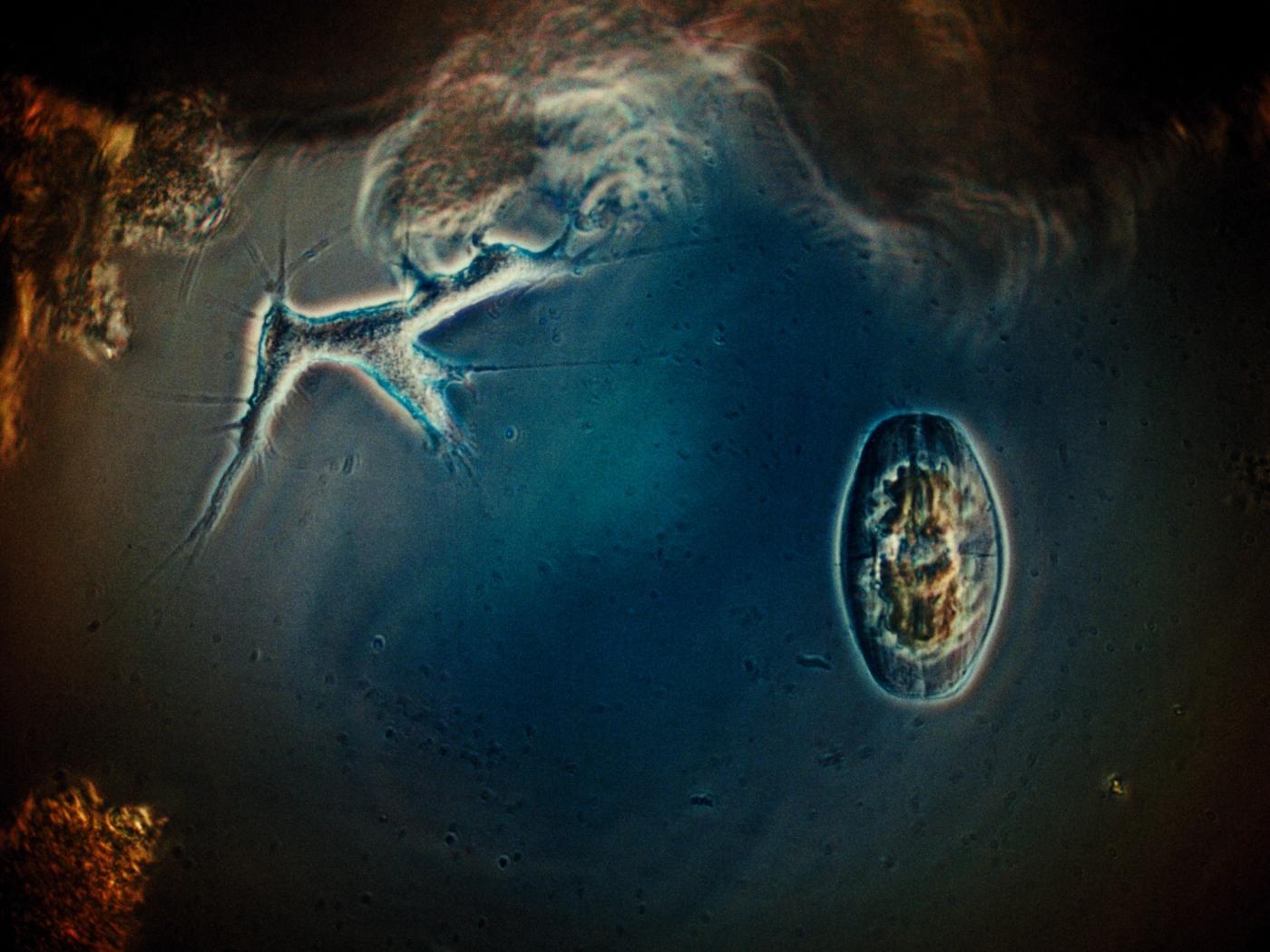 Frame 08