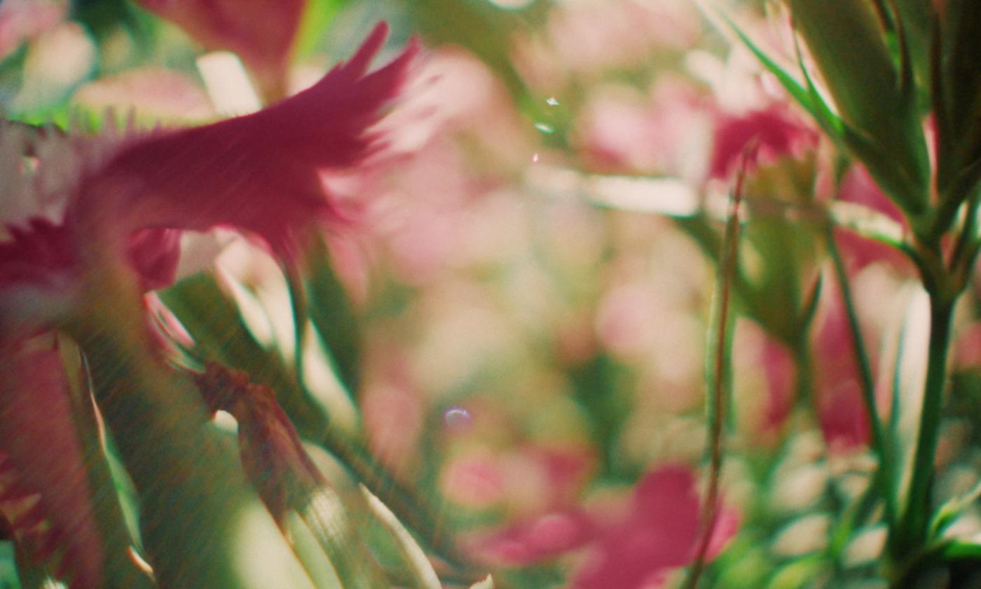 Frame 09