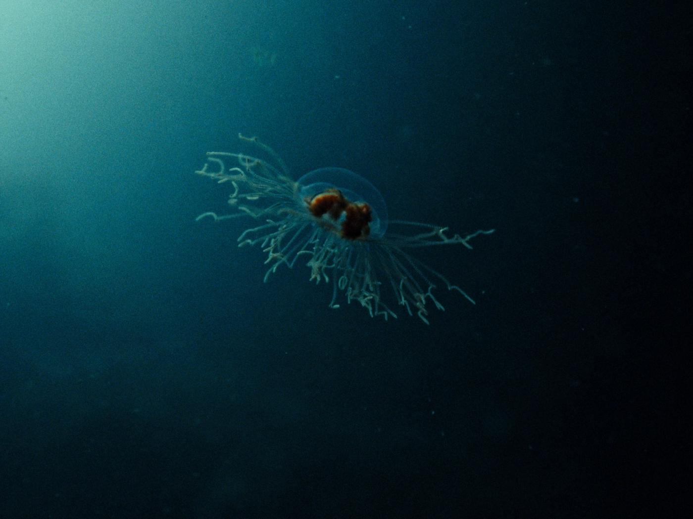 Frame 09