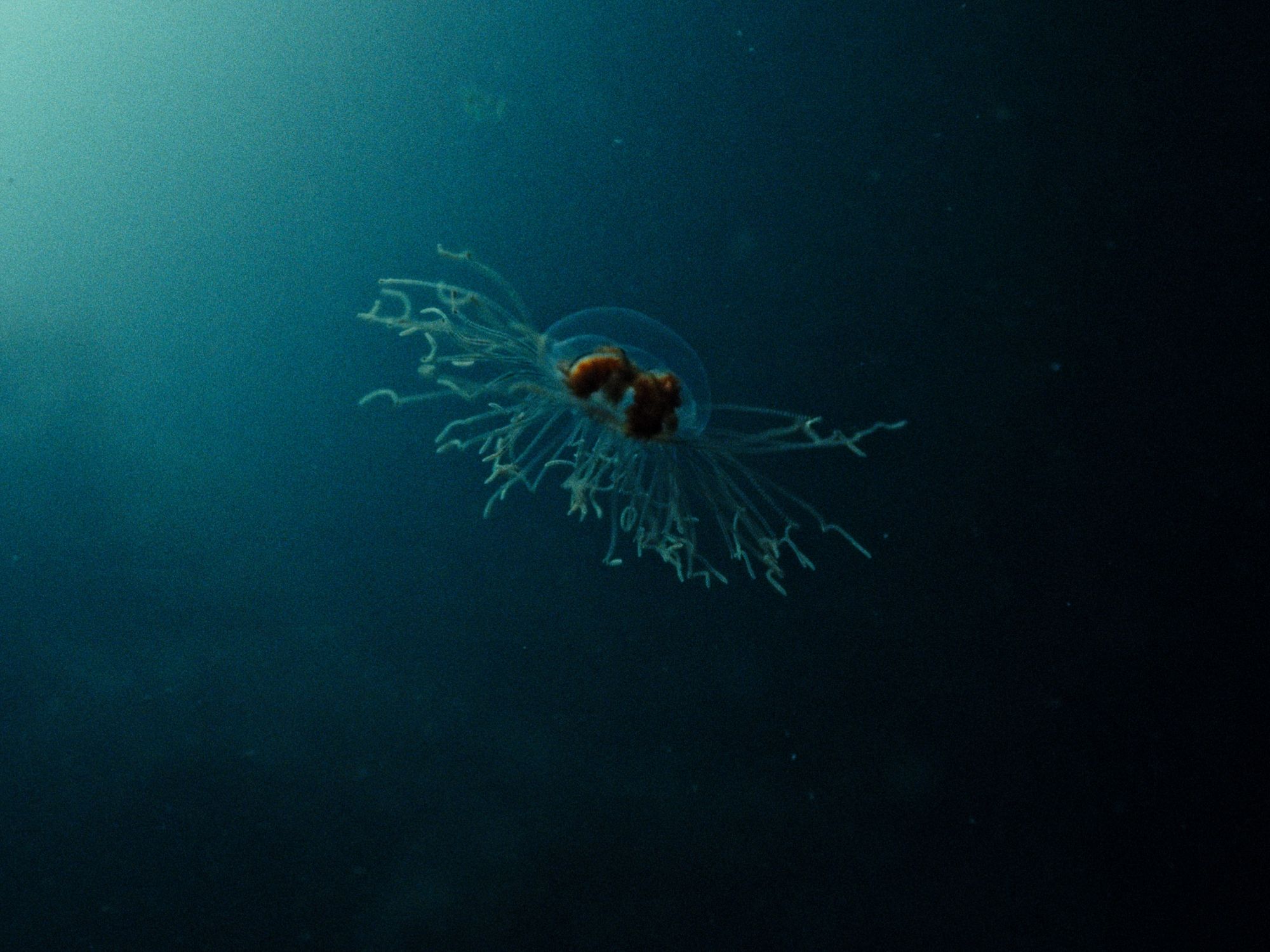 Frame 09