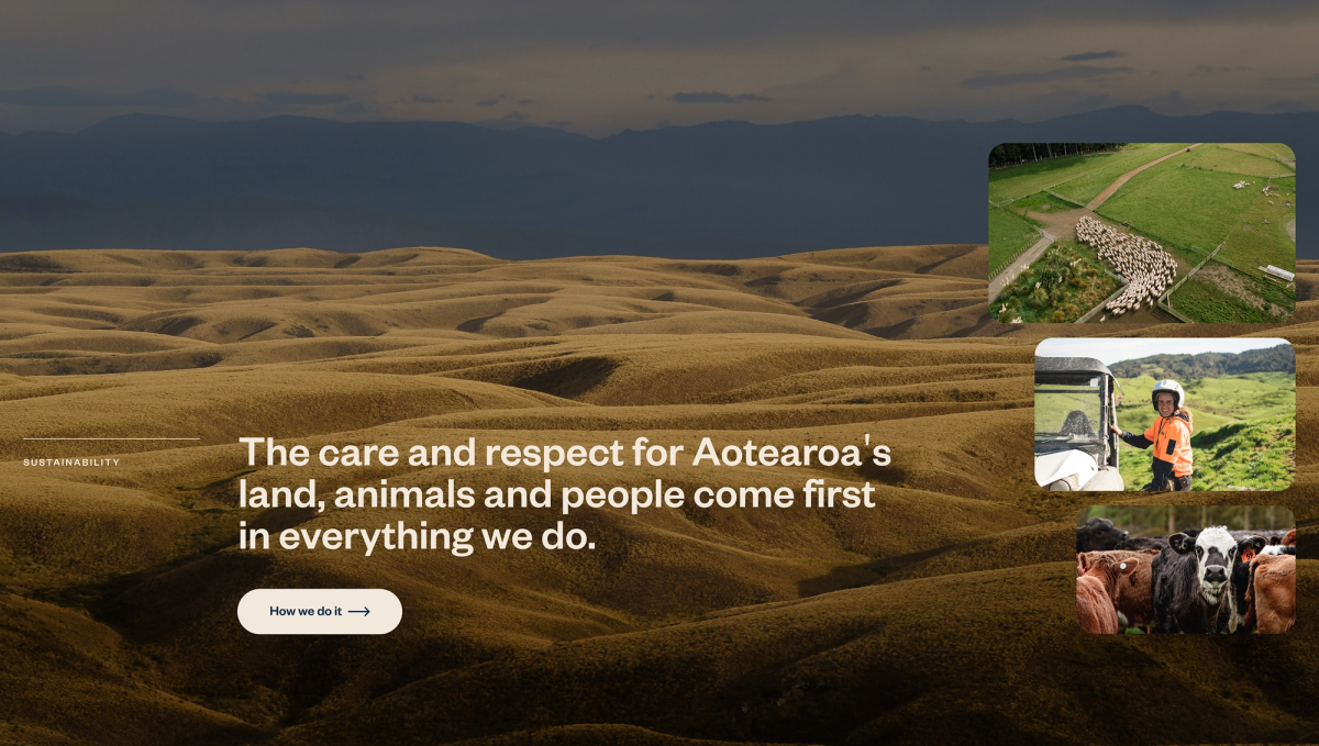 Sustainable farming landscape with rolling golden hills, images of sheep, cows, and a farmer, with text on caring for land, animals, and people.