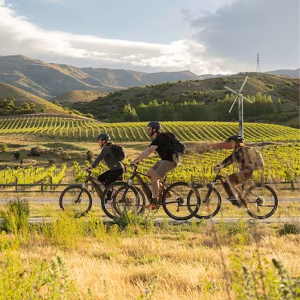 Three people ride bicycles along a path next to a vineyard with rolling hills and a wind turbine in the background.