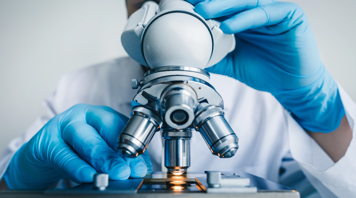 Person in blue gloves adjusting a microscope.