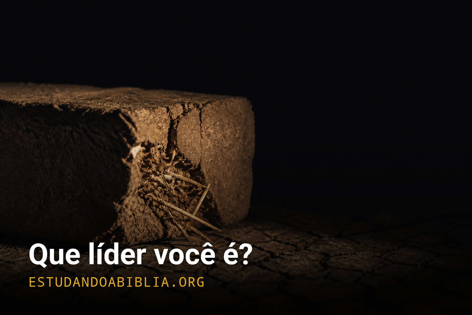 Faraó ou Jetro: que líder você é?