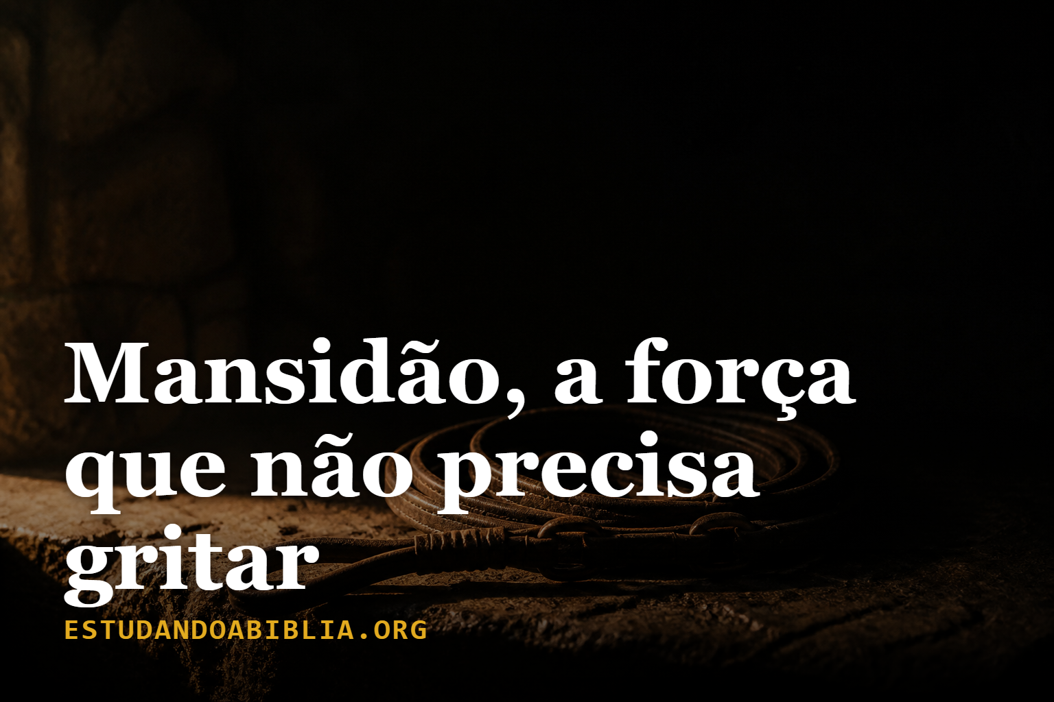 Dia 2: Mansidão, a força que não precisa gritar (Mateus 5:5)