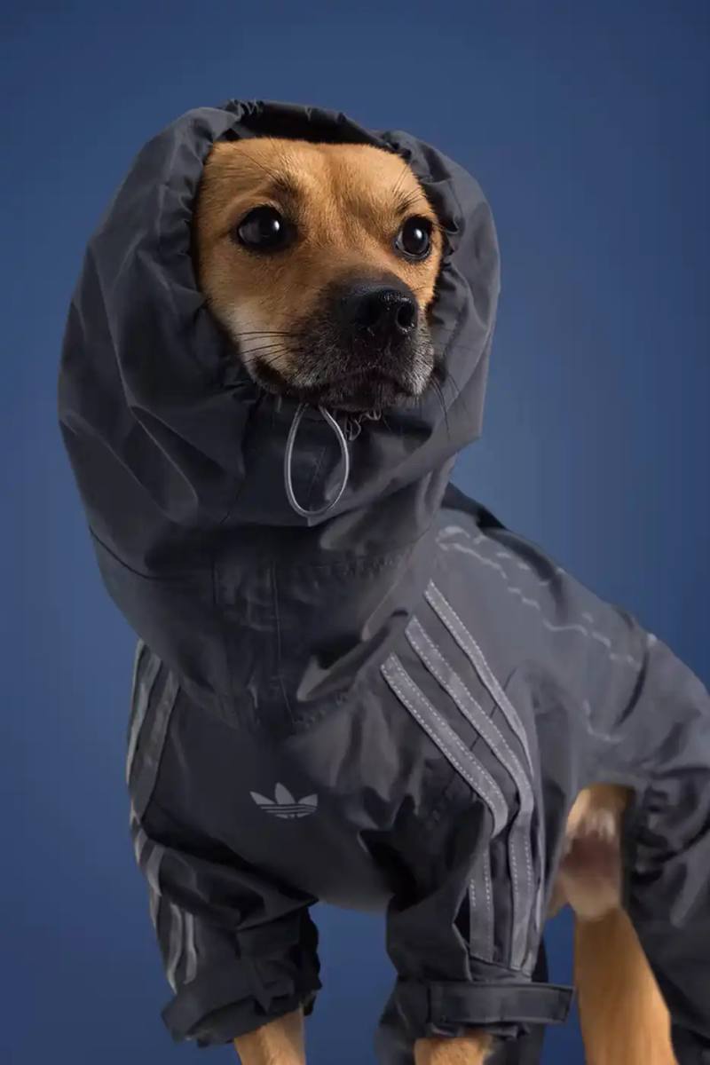 adidas introduces a fall collection for pets in China, featuring water-repellent windbreakers, padded vests, and track outfits with signature Three Stripes and Trefoil logos.