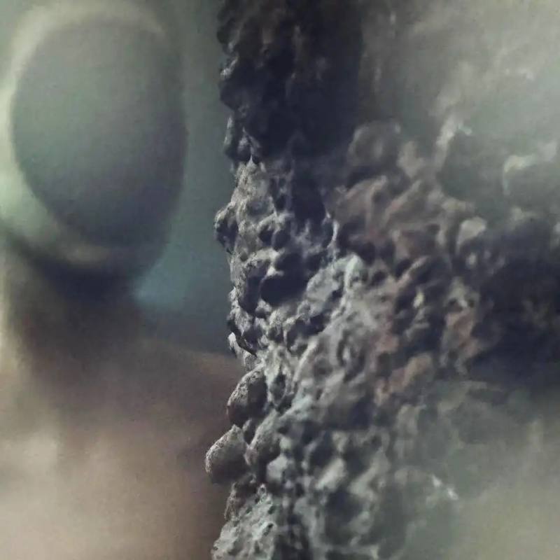 The Berghain nightclub in Berlin has opened its doors to the general public for an art installation by French artist Pierre Huyghe, running from January 23 to March 8, 2025.